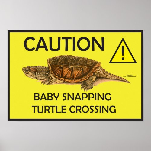 Caution Snapping Turtle Crossing Poster