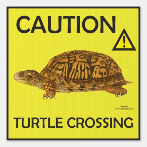 Caution Turtle Crossing Sign