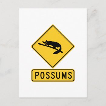 Caution With Possums 2  Traffic Warning Sign  Au Postcard by worldofsigns at Zazzle