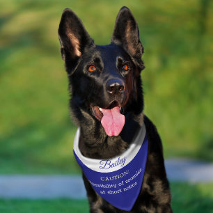 Caution Zoomies Funny Dog Pet Bandana Collar