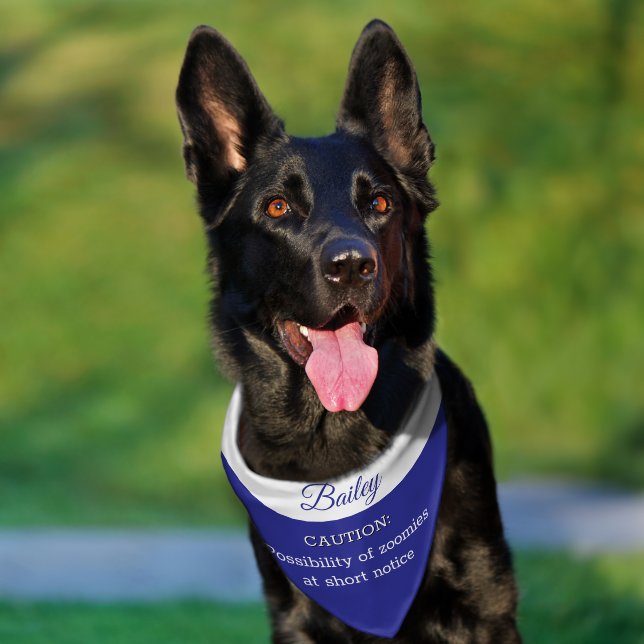Caution Zoomies Funny Dog Pet Bandana Collar (Dog)