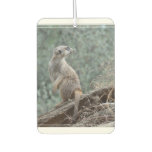 Cautious Meerkat Car Air Freshener