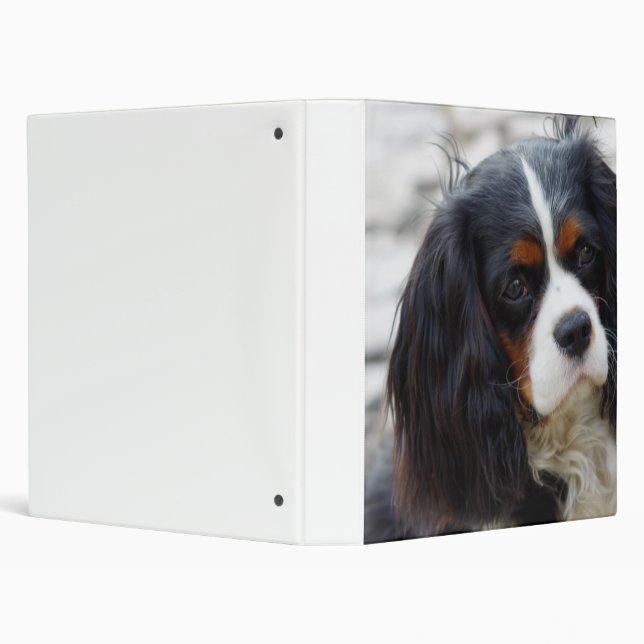 cav 2 3 ring binder (Background)