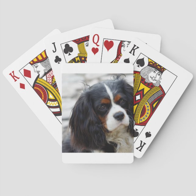 cav 2 poker cards (Back)