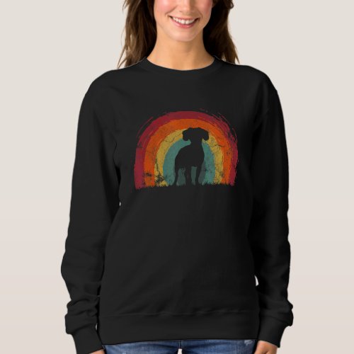 Cav A Jack Vintage Rainbow Dog Men Women Sweatshirt