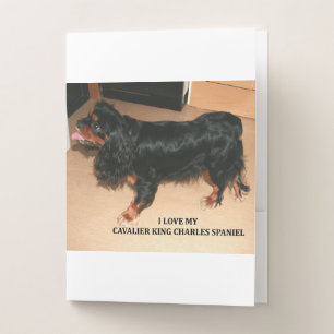 cav black and tan love w pic pocket folder