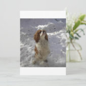 cav in snow (Standing Front)