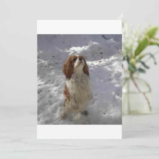 cav in snow (Standing Front)