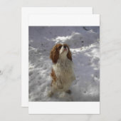 cav in snow (Front/Back)