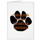 cav name paw (Front)