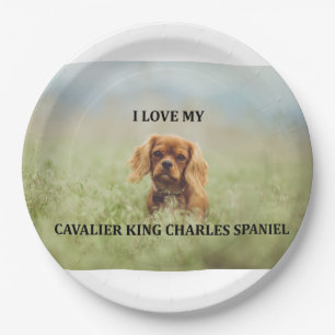 cav ruby love w pic paper plates