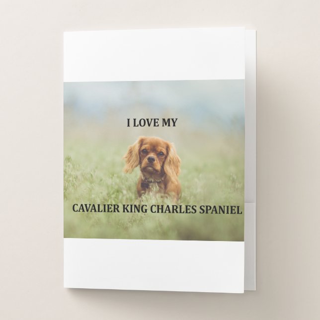 cav ruby love w pic pocket folder (Front)