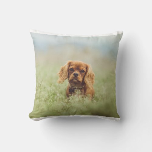 cav ruby throw pillow