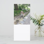 cav sitting (Standing Front)