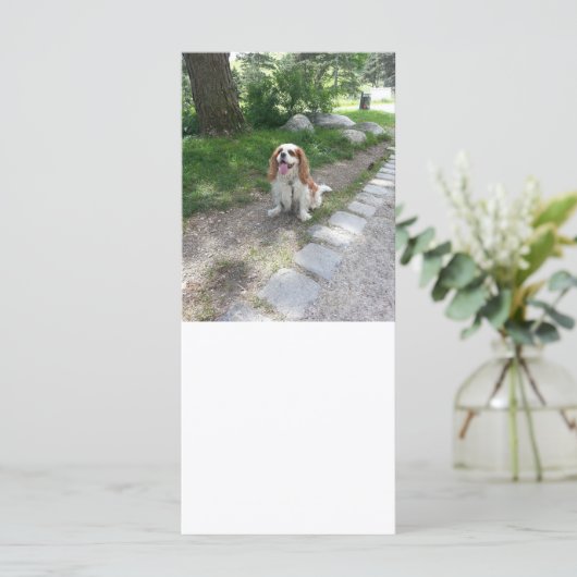 cav sitting (Standing Front)