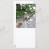 cav sitting (Front/Back)