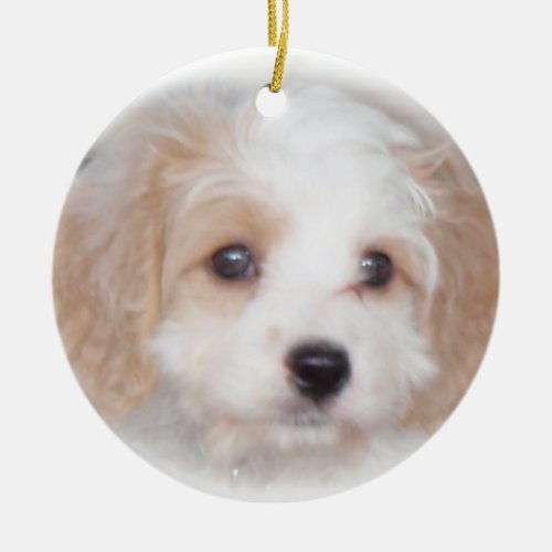 Cavachon Chase Ceramic Ornament