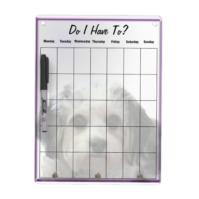 Cavachon Dry Erase Board (Front)