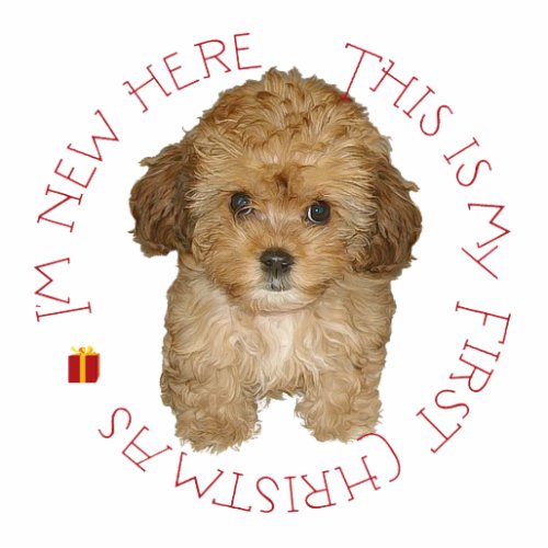 Cavachon Puppy First Christmas Cutout