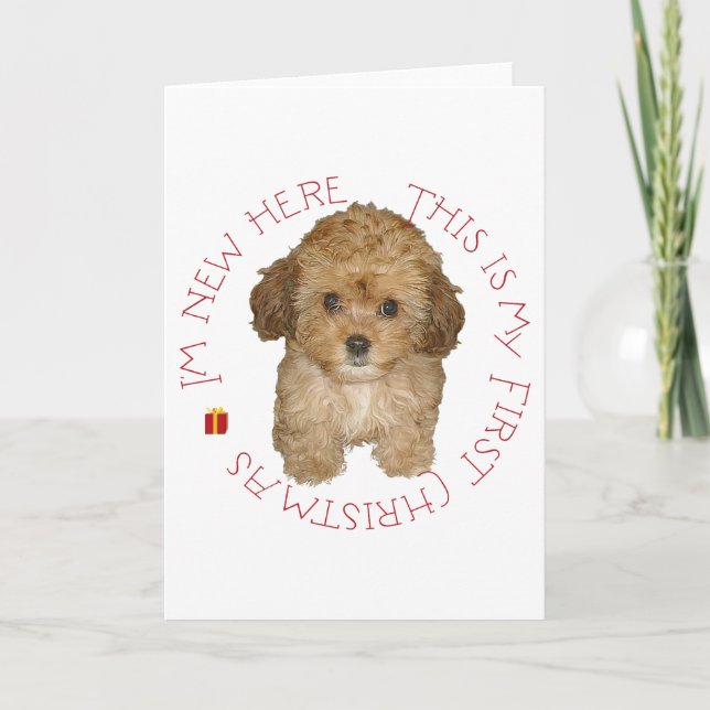 Cavachon Puppy First Christmas Holiday Card (Front)