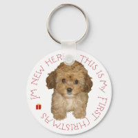 Cavachon Puppy First Christmas