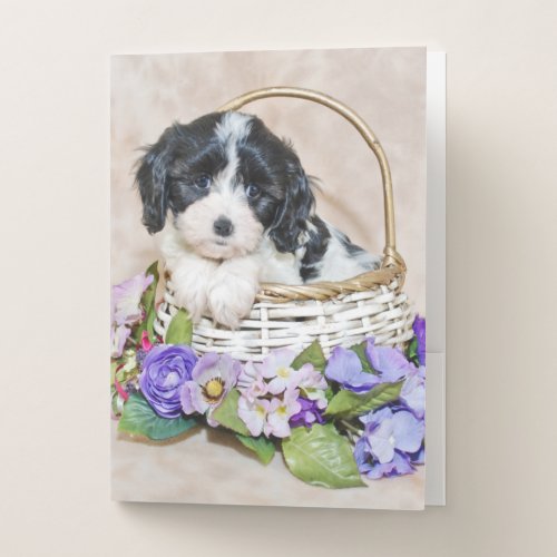 Cavachon Puppy in Basket  Pocket Folder