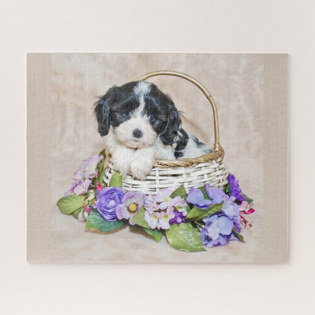 Cavachon Puppy in basket puzzle (Horizontal)