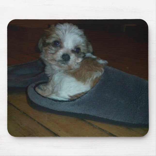 Cavachon puppy in slipper mouse pad (Front)