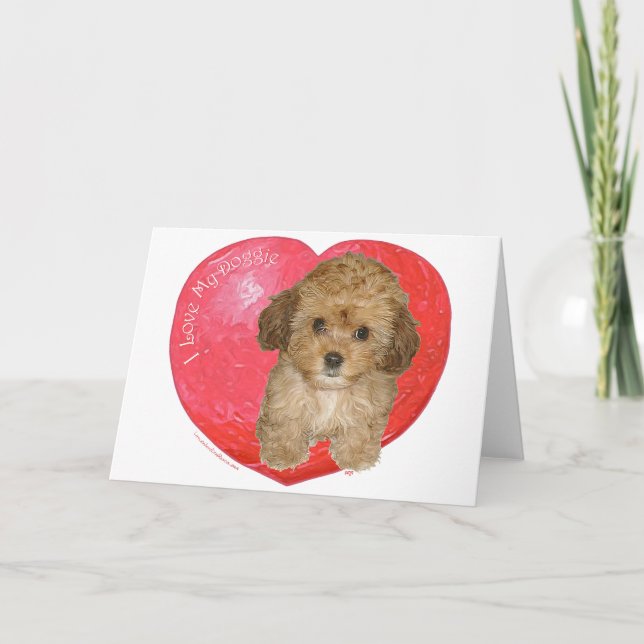 Cavachon Valentine Holiday Card (Front)