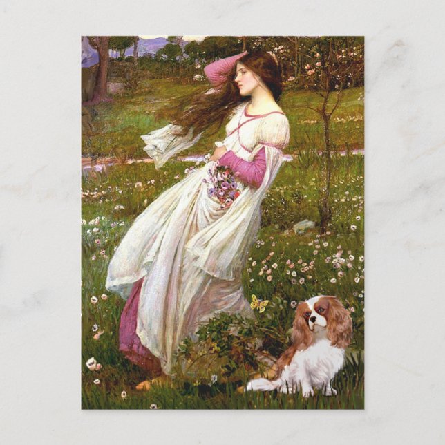 Cavalier 2 (Bl) - Windflowers Postcard (Front)