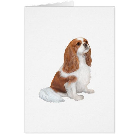 Cavalier A1 - Blenheim (F) Cards (Front)
