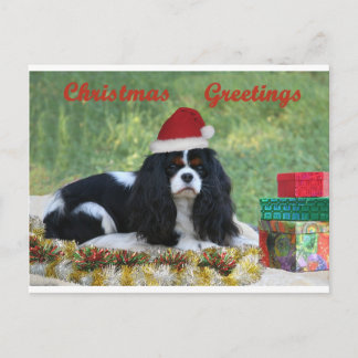 Cavalier Christmas Card