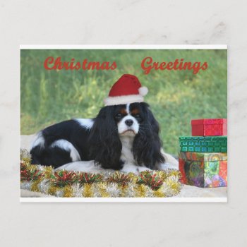 Cavalier Christmas Card by JennyBrice at Zazzle