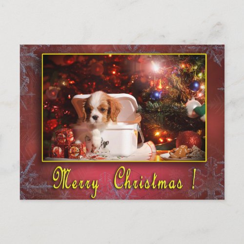 Cavalier Christmas card