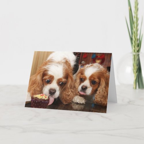 Cavalier Cupcake Birthday Card