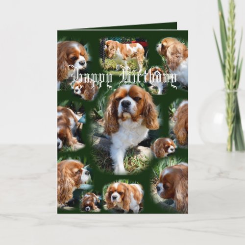 Cavalier Dog Photo Collage Happy Birthday Card