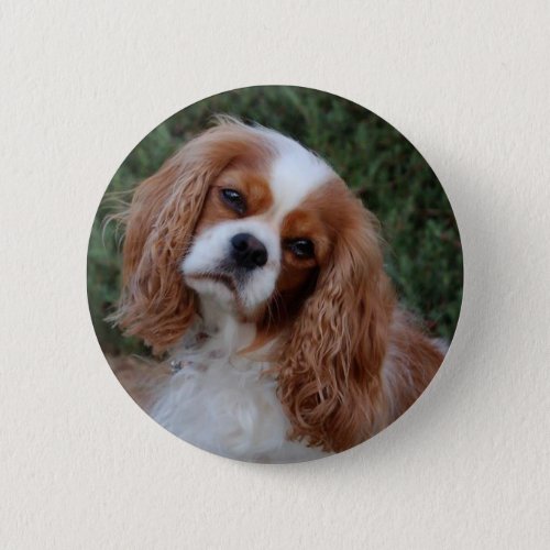 Cavalier Fond Memories Button