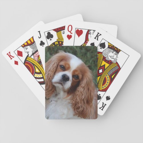 Cavalier Fond Memories Poker Cards