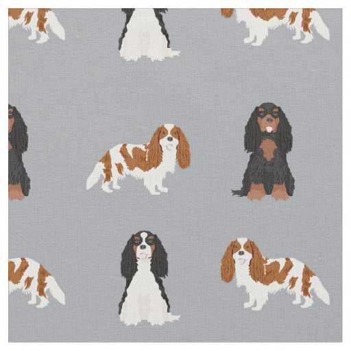 cavalier kc spaniel dogs grey fabric