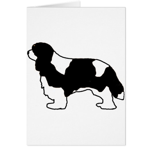 Cavalier King Charles black and white silo Cards (Front)