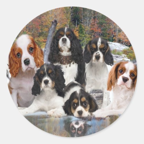 Cavalier King Charles Cant Have Just One gifts Classic Round Sticker