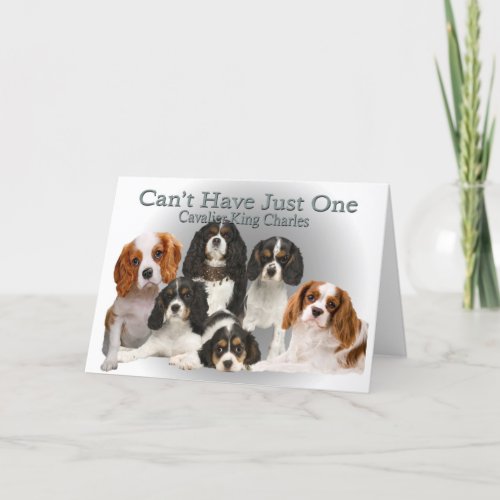 Cavalier King Charles Cant Have Just One gifts Holiday Card