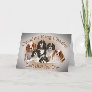 Cavalier King Charles Can't Have Just One gifts Holiday Card