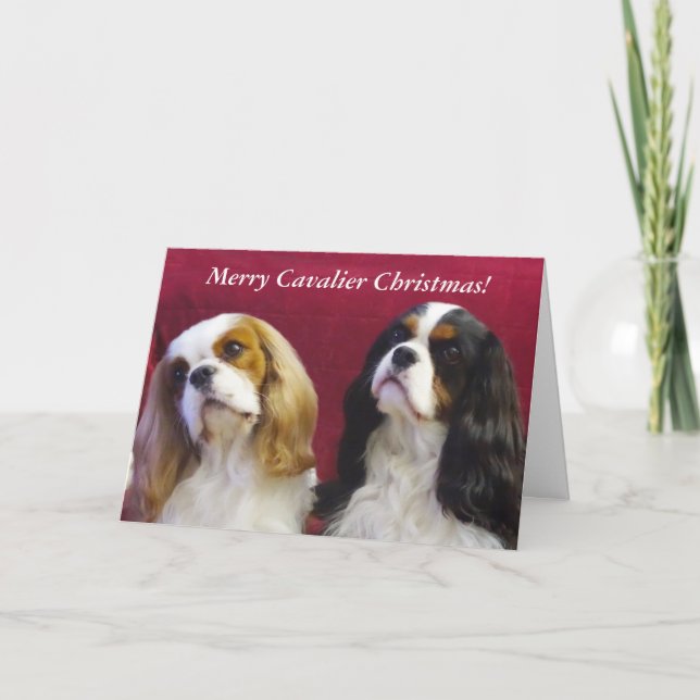 Cavalier King Charles Christmas Card (Front)