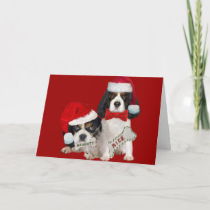 Cavalier King Charles Christmas Naughty or Nice Holiday Card