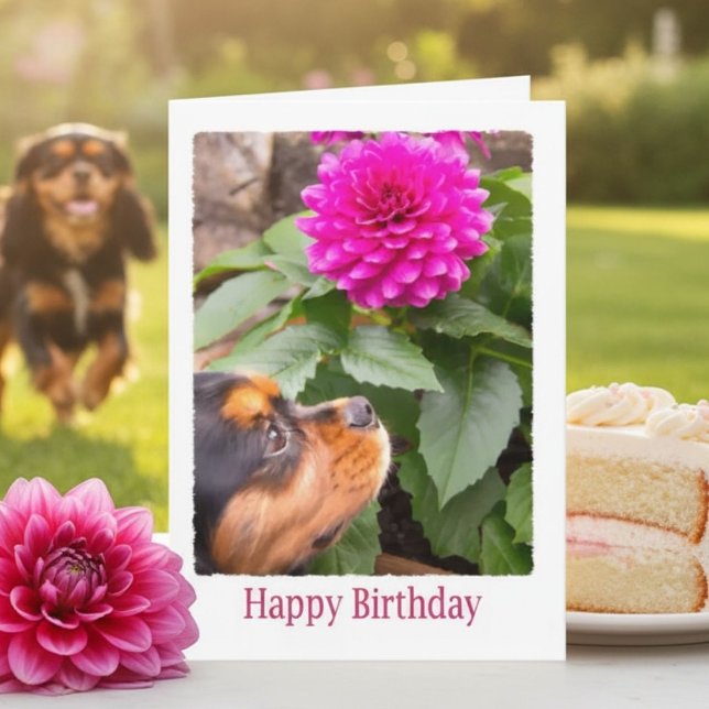 Cavalier King Charles Dahlia Birthday Card (Creator Uploaded)