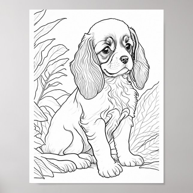 Cavalier King Charles Dog Adult Coloring Poster (Front)