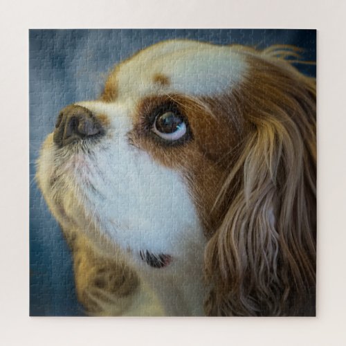 Cavalier King Charles Jigsaw Puzzle