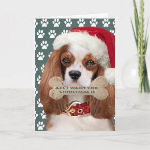 Cavalier King Charles Kisses For Christmas Holiday Card