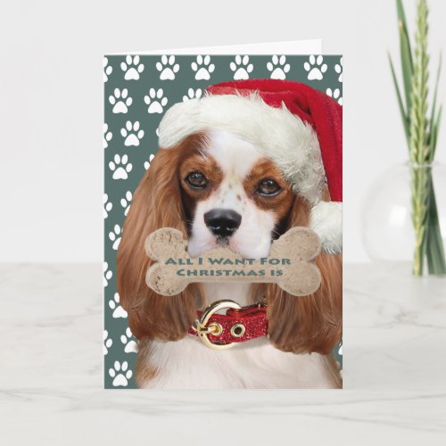 Cavalier King Charles Kisses For Christmas Holiday Card